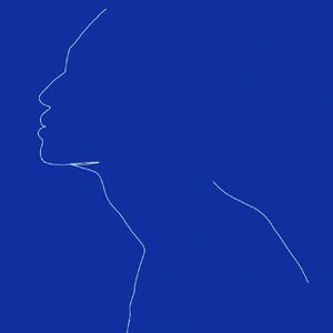 猫猫狐狐春梦之夜图片
