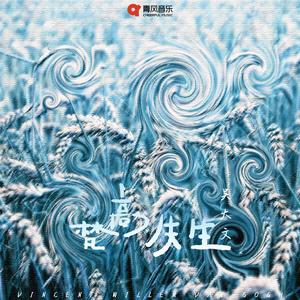 猫猫狐狐春梦之夜图片
