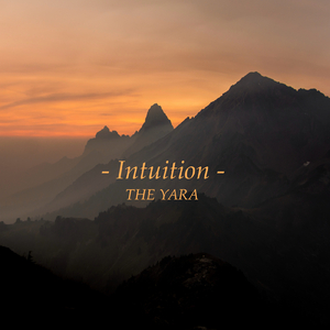 猫猫狐狐春梦之夜图片
