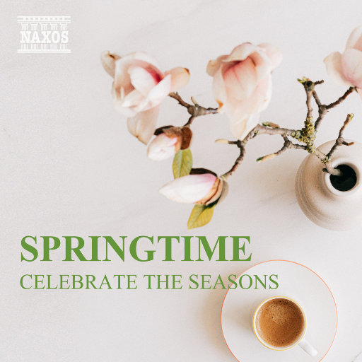 猫猫狐狐春梦之夜图片
